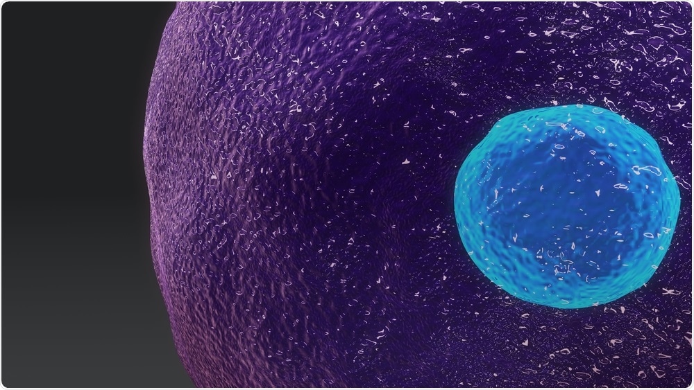 T-cell