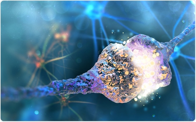 Neuron Neuron