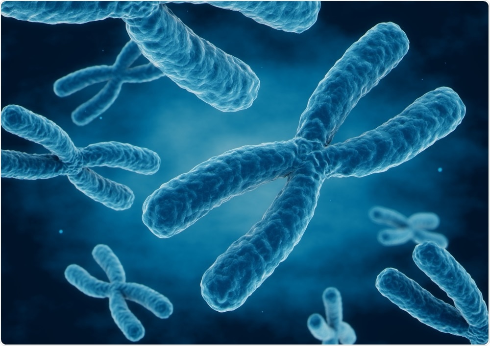 X Chromosome