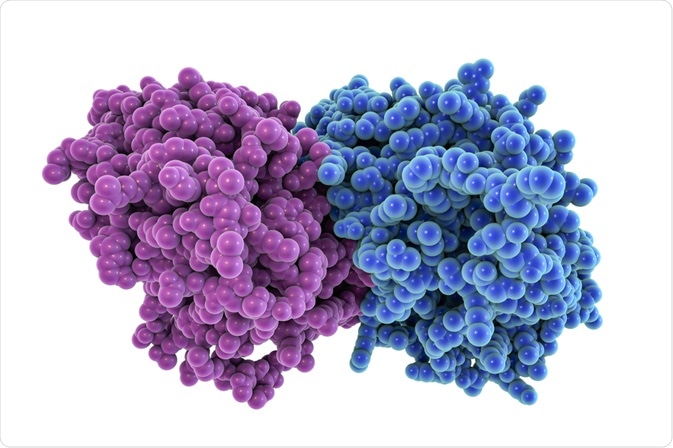 Tubulin Tubulin