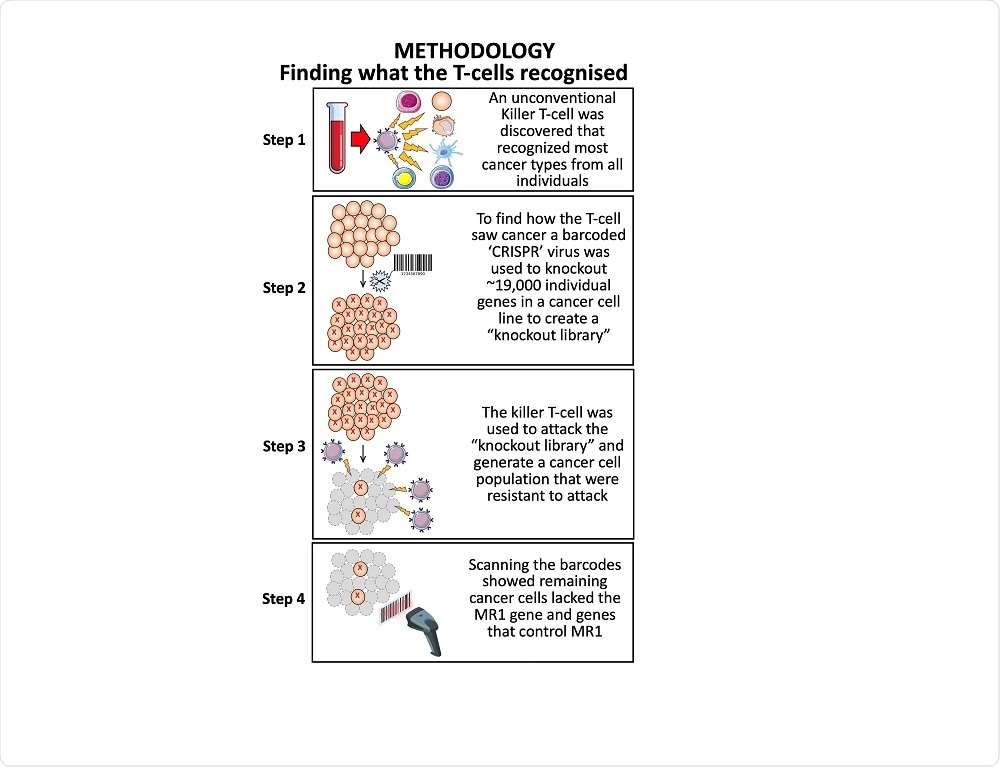 T-Cell Methodology T-Cell Methodology