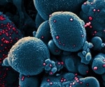 Immunotherapy could be answer to treating novel coronavirus