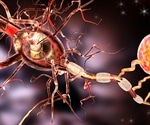 Molecular stress makes old neurons vulnerable to neurodegenerative diseases