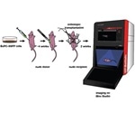 Non-Invasive In Vivo Imaging of GFP Expressing Pancreatic Cancer