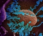 First Chinese case of case of SARS since January 2004