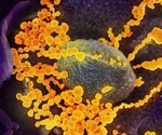 NIH launches new website with educational resources for COVID-19 workers