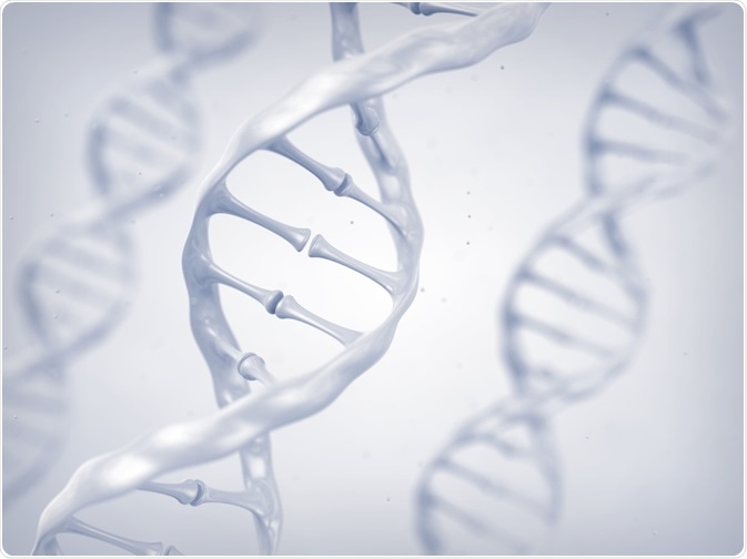 dna phenotyping
