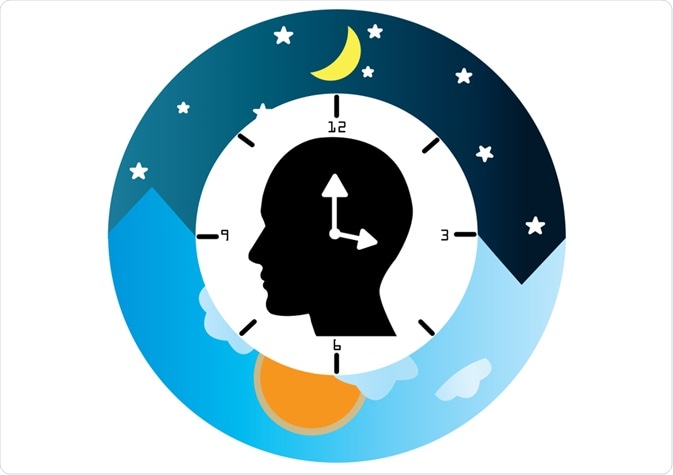 Circadian Rhythm Circadian Rhythm