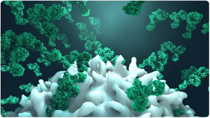 antibodies