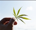 Cannabis Use and Acute Myocardial Infarctions in Young People