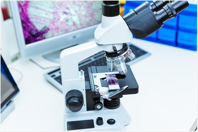 Digital Pathology Digital Pathology