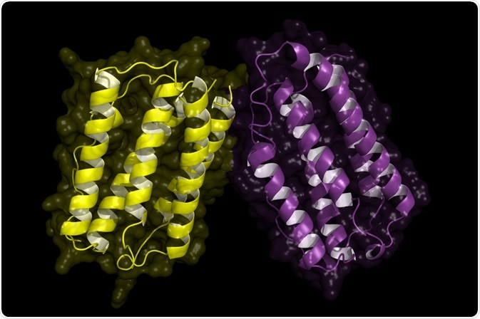 interferon