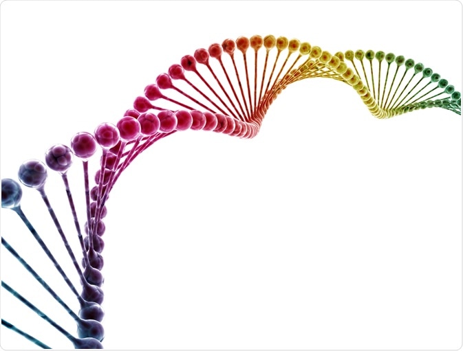 non-coding DNA