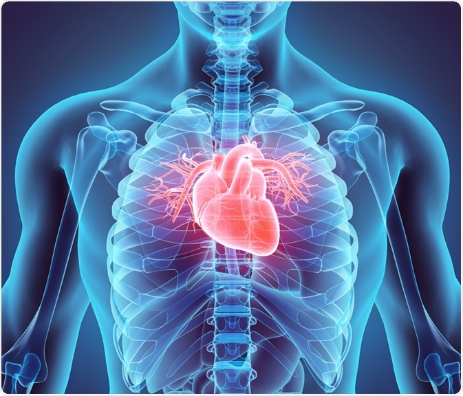 Heart Heart