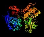 AMPK Signaling Pathway