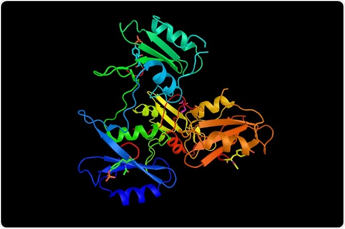 C-Met Protein C-Met Protein