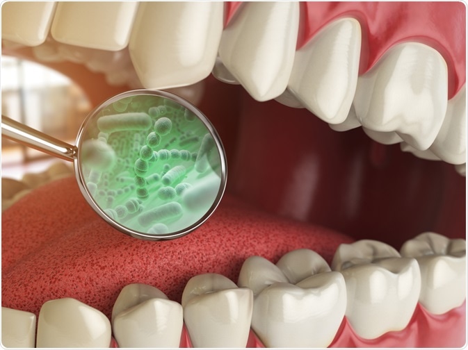 Oral Bacteria Oral Bacteria