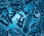How do Proteins Repair Cell-Wall Defects?