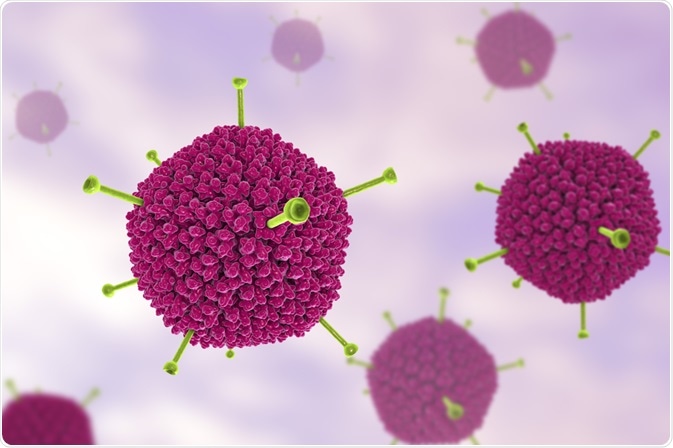 Adenovirus Adenovirus