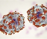 Pregnancy and Bacteria