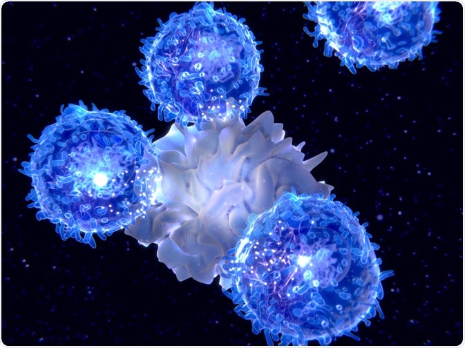 Dendritic Cell and Antigen