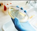 What are Isogenic Cell Lines?