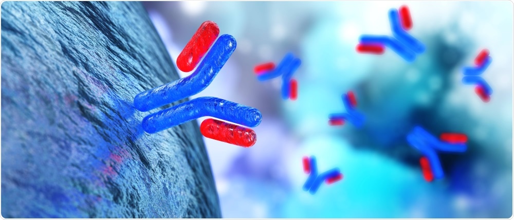 Antibodies