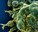 Antiparasitic drug Ivermectin kills coronavirus in 48 hours