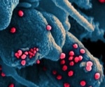 Scientists predict how the novel coronavirus spreads in a typical household