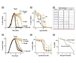 How Neuroscientists Can Use Live-Cell Analysis