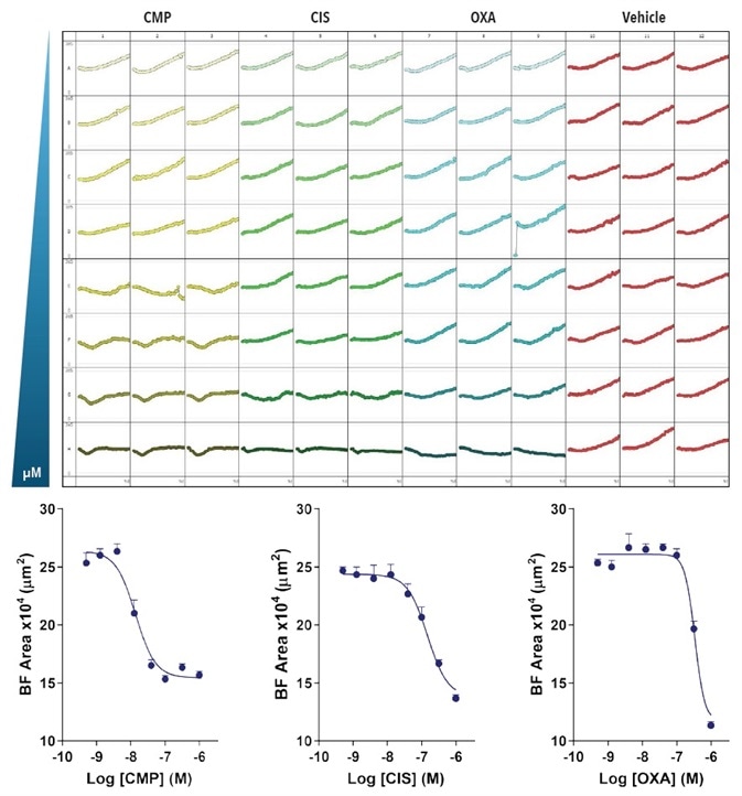 Effect of CMP, CIS and OXA on growth of SKOV3 cells in a spheroid assay. SKOV3 cells were plated at a density of 5,000 cells per well and spheroid allowed to form (72-hours). Cells were then treated with serial compound dilutions and kinetics of spheroid growth and shrinkage were obtained. Plate-view shows the individual well Largest BF area (µm2) over time. Concentration response curves represent the Largest BF area (µm²) at 204-hours post-treatment. Data were collected over 240-hour period at 6-hour intervals. Each data point represents mean ±SEM, Effect of CMP, CIS and OXA on growth of SKOV3 cells in a spheroid assay. SKOV3 cells were plated at a density of 5,000 cells per well and spheroid allowed to form (72-hours). Cells were then treated with serial compound dilutions and kinetics of spheroid growth and shrinkage were obtained. Plate-view shows the individual well Largest BF area (µm2) over time. Concentration response curves represent the Largest BF area (µm²) at 204-hours post-treatment. Data were collected over 240-hour period at 6-hour intervals. Each data point represents mean ±SEM,