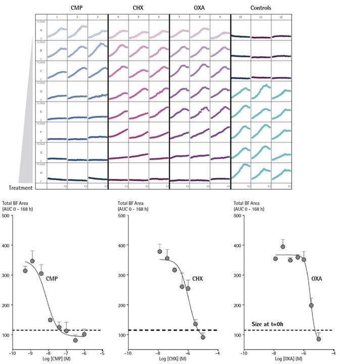IncuCyte enables comparison testing of drug toxicities on growth of MCF-7 cells over time in a single microplate 3D spheroid assay. MCF-7 cells were seeded in flat bottom 96-well plates (1,000 cells/well) on a bed of Matrigel and spheroids allowed to form (72 h). Cells were then treated with serial dilutions of CMP, CHX, or OXA and spheroid growth kinetics obtained. The plate view shows the individual well Total Brightfield Object Area (µm2) (y-axis) over time (6 days) (x-axis). Concentration response curves (CRCs) represent the area under curve (AUC) of the Total Brightfield Area time course (µm2) from 0 – 168 h post-treatment. Data were collected over 168 h period at 6 h intervals. Each data point represents mean ± SEM, IncuCyte enables comparison testing of drug toxicities on growth of MCF-7 cells over time in a single microplate 3D spheroid assay. MCF-7 cells were seeded in flat bottom 96-well plates (1,000 cells/well) on a bed of Matrigel and spheroids allowed to form (72 h). Cells were then treated with serial dilutions of CMP, CHX, or OXA and spheroid growth kinetics obtained. The plate view shows the individual well Total Brightfield Object Area (µm2) (y-axis) over time (6 days) (x-axis). Concentration response curves (CRCs) represent the area under curve (AUC) of the Total Brightfield Area time course (µm2) from 0 – 168 h post-treatment. Data were collected over 168 h period at 6 h intervals. Each data point represents mean ± SEM,