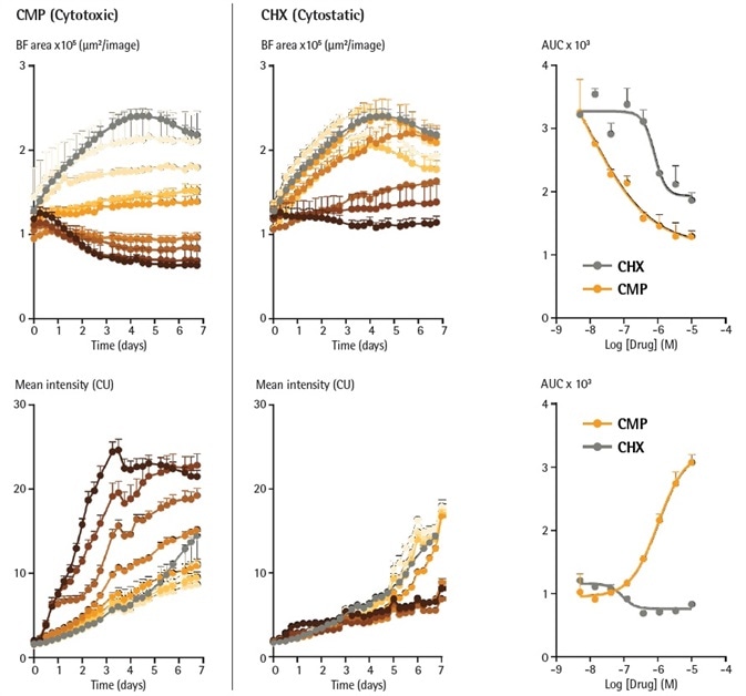 Cytotoxic and cytostatic mechanisms of action can be differentiated by measuring spheroid size and apoptosis over time. A549 cells were seeded in the presence of IncuCyte Annexin V Green reagent (1 %) in flat bottom 96-well plates (2,000 cells/well, on a bed of Matrigel) and spheroids allowed to form (96 h). Spheroids were then treated with increasing concentrations of CMP (left column, 4 nM – 10 µM) or CHX (right column, 4 nM – 10 µM). Time courses show change in size (Brightfield Area) or apoptosis (IncuCyte Annexin V fluorescence intensity) over time. CRCs show the different profiles of cytotoxic and cytostatic mechanisms. Cytotoxic and cytostatic mechanisms of action can be differentiated by measuring spheroid size and apoptosis over time. A549 cells were seeded in the presence of IncuCyte Annexin V Green reagent (1 %) in flat bottom 96-well plates (2,000 cells/well, on a bed of Matrigel) and spheroids allowed to form (96 h). Spheroids were then treated with increasing concentrations of CMP (left column, 4 nM – 10 µM) or CHX (right column, 4 nM – 10 µM). Time courses show change in size (Brightfield Area) or apoptosis (IncuCyte Annexin V fluorescence intensity) over time. CRCs show the different profiles of cytotoxic and cytostatic mechanisms.