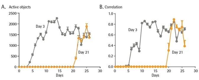 Long term expression of NeuroBurst Orange GECI does not alter neuronal activity. iCell GlutaNeurons were seeded at 30K cells/well with a co-culture of primary rat astrocytes seeded at 15K cells/well on 96- well culture plates. Neurons were infected with NeuroBurst Orange reagent at either day 3 or 21 following plating. Active object number (A) and mean correlation (B) was monitored and analyzed over a period of 27 days. Data points represent Mean ± SEM. Long term expression of NeuroBurst Orange GECI does not alter neuronal activity. iCell GlutaNeurons were seeded at 30K cells/well with a co-culture of primary rat astrocytes seeded at 15K cells/well on 96- well culture plates. Neurons were infected with NeuroBurst Orange reagent at either day 3 or 21 following plating. Active object number (A) and mean correlation (B) was monitored and analyzed over a period of 27 days. Data points represent Mean ± SEM.