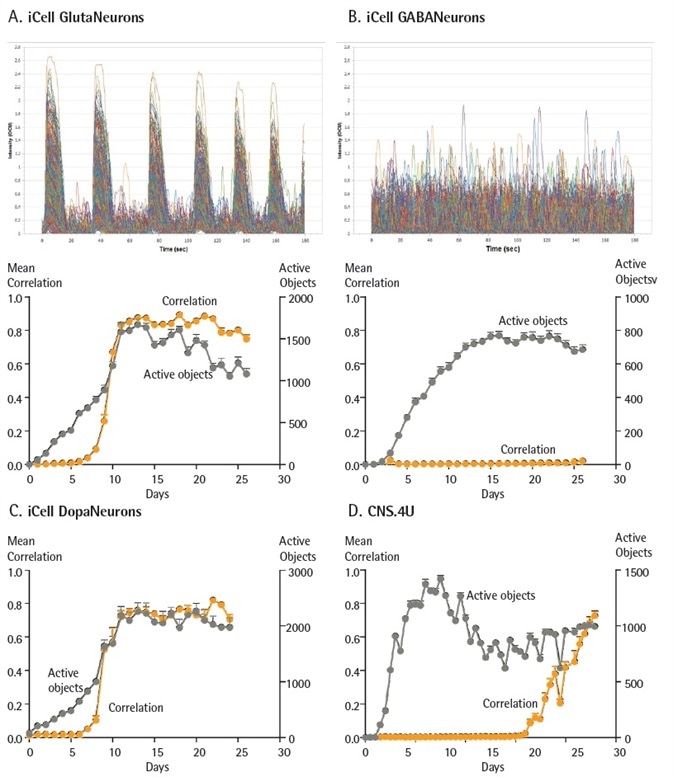 Functional activity of different iPSC-derived neurons. iCell GlutaNeurons, iCell GABANeurons, iCell DopaNeurons (Cellular Dynamics International) and CNS.4U neurons (Ncardia) were all seeded at 20K cells/ well. iCell GlutaNeurons, iCell GABANeurons and iCell DopaNeurons were also plated with a co-culture of rat astrocytes seeded at 15K cells/ well. Neurons were infected with NeuroBurst Orange reagent, and active object number and mean correlation were quantified for up to 45 days. Example calcium oscillation traces and kinetic graphs of activity metrics over time for iCell GlutaNeurons (A) and iCell GABANeurons (B). Mean correlation and active object number were quantified for iCell DopaNeurons (25 days) (C) and CNS.4U neurons (45 days) (D). Data points represent Mean ± SEM. Functional activity of different iPSC-derived neurons. iCell GlutaNeurons, iCell GABANeurons, iCell DopaNeurons (Cellular Dynamics International) and CNS.4U neurons (Ncardia) were all seeded at 20K cells/ well. iCell GlutaNeurons, iCell GABANeurons and iCell DopaNeurons were also plated with a co-culture of rat astrocytes seeded at 15K cells/ well. Neurons were infected with NeuroBurst Orange reagent, and active object number and mean correlation were quantified for up to 45 days. Example calcium oscillation traces and kinetic graphs of activity metrics over time for iCell GlutaNeurons (A) and iCell GABANeurons (B). Mean correlation and active object number were quantified for iCell DopaNeurons (25 days) (C) and CNS.4U neurons (45 days) (D). Data points represent Mean ± SEM.