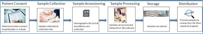 How LIMS can Solve Biobanking Informatics Challenges How LIMS can Solve Biobanking Informatics Challenges