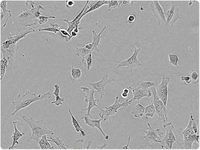 HMC3.