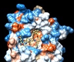 Scientists generate molecular models of compounds relevant for COVID-19