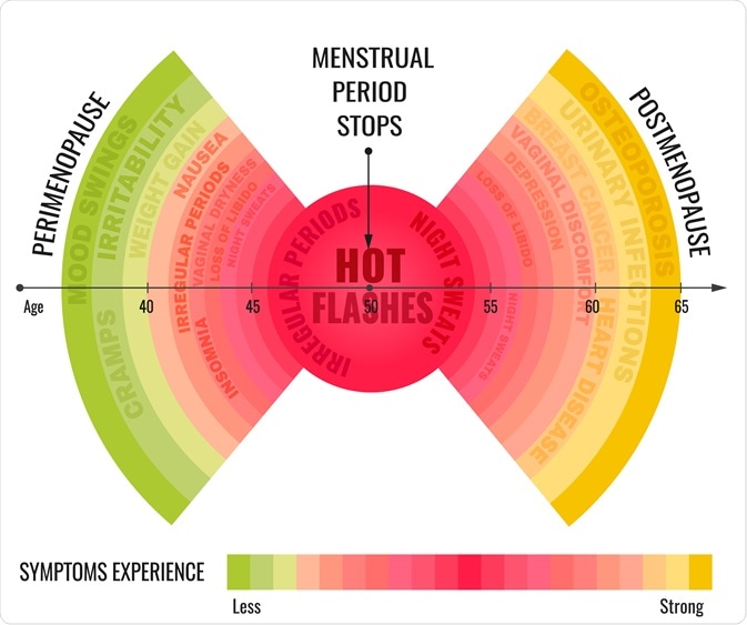 perimenopause
