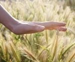 Restoring the Sense of Touch