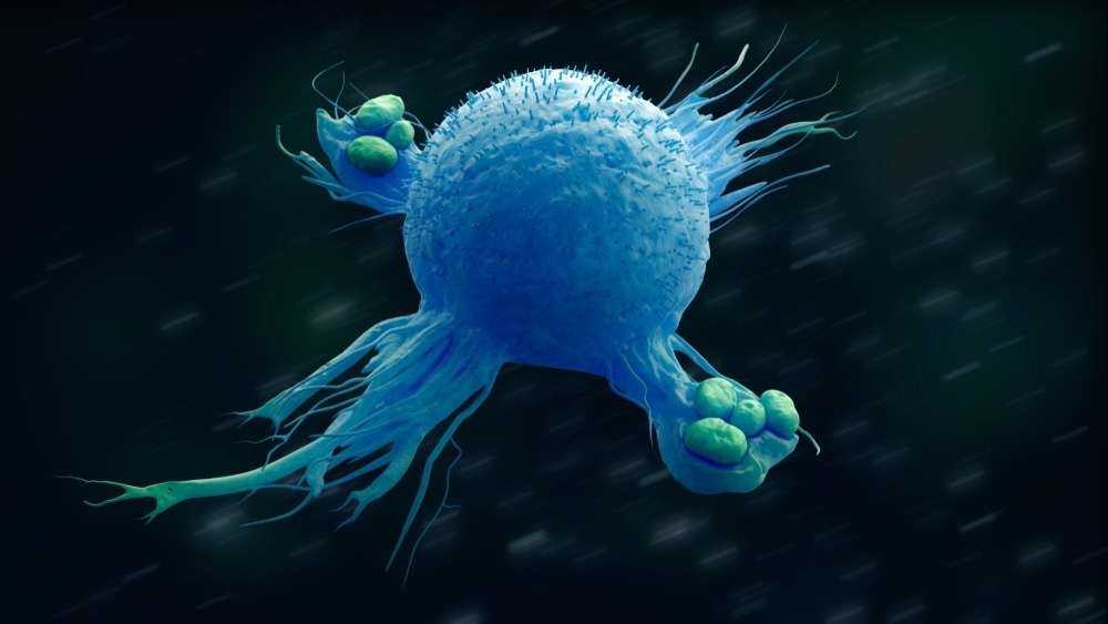 macrophage