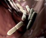 Vaginal bacteria linked to premature birth