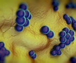 Pets have a low risk of transmitting multi-drug resistant bugs to owners, study finds