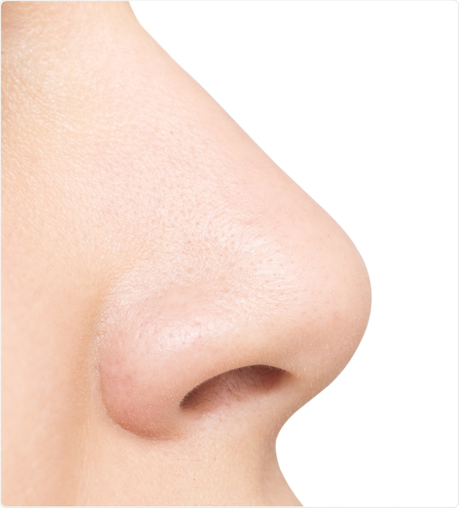 Nose
