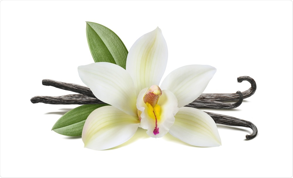 Vanilla