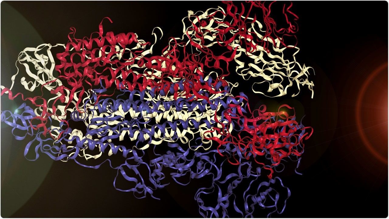 SARS-CoV-2 Virus