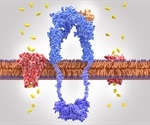 Photolysis: Photolabile Precursors of Ligands