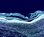 Human to Labskin Skin Models for Dermatology Research