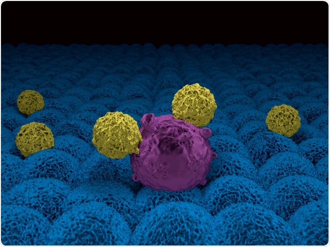 CAR T-Cell Therapy CAR T-Cell Therapy