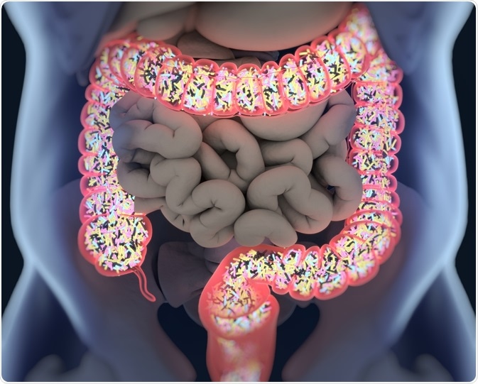 Gut Microbiome Gut Microbiome